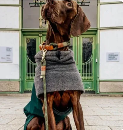 PawsomeBox